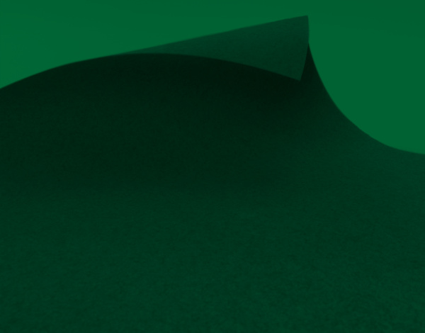 Rewind Flat Event Carpet Bottle Green colorway